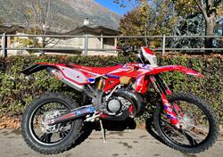 Betamotor RR 300 2T Enduro (2014) usata