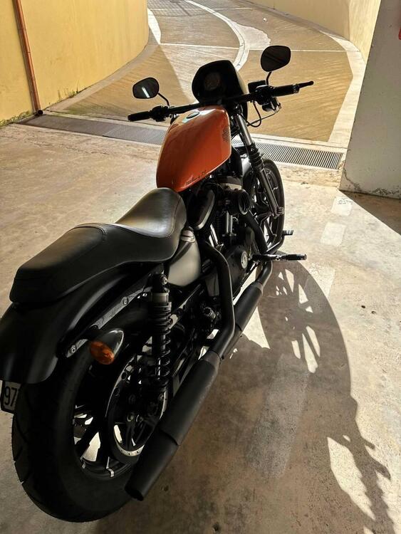 Harley-Davidson 883 Iron (2017 - 20) - XL 883N (4)