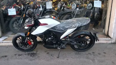 Malaguti Drakon 125 (2022 - 26) nuova