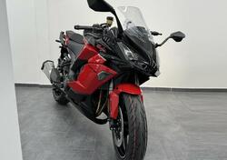 Kawasaki Ninja 1000 SX 40th Anniversary Edition (2024) nuova