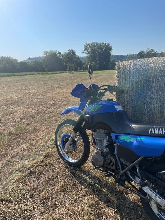 Yamaha XT 600 E (1990 - 04) (3)