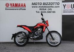 Betamotor Alp X (2024) usata