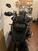 Bmw R 1250 GS (2021 - 24) (13)