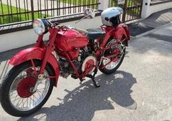 Moto Guzzi Falcone 500 turismo  d'epoca