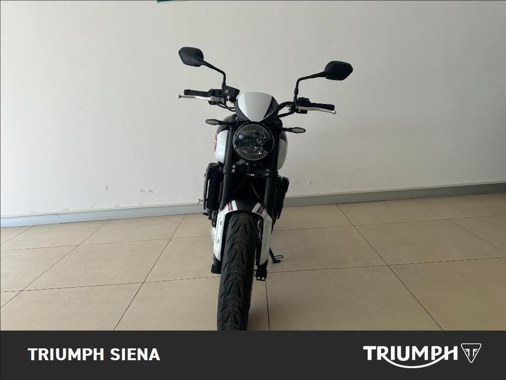 Triumph Trident 660 Triple Tribute Edition (2024) (3)