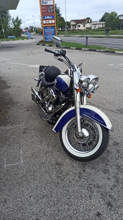 Harley-Davidson 1585 Softail Deluxe (2011) - FLSTN (5)