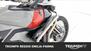 Triumph Tiger 900 Rally Pro (2020 - 23) (20)