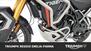 Triumph Tiger 900 Rally Pro (2020 - 23) (22)