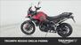 Triumph Tiger 900 GT Pro (2024) (7)