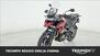 Triumph Tiger 1200 GT Pro (2024) (6)