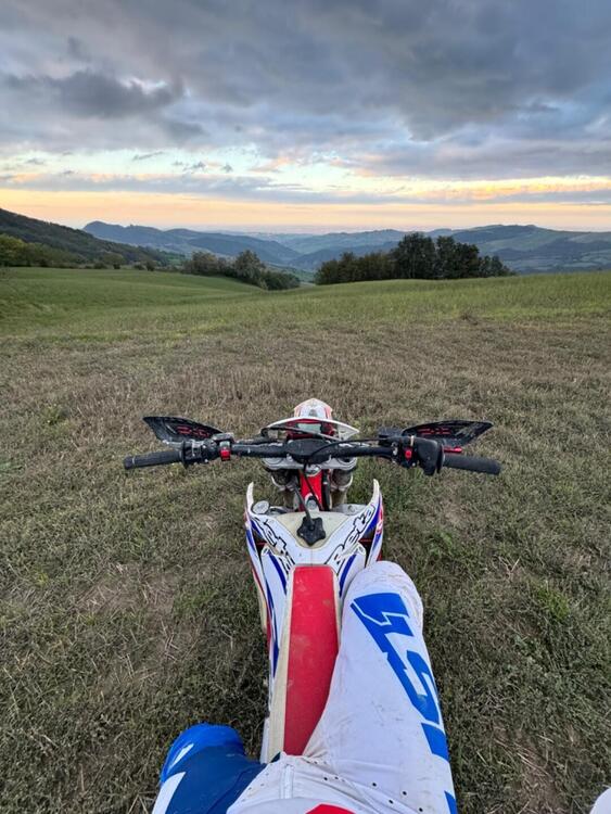 Betamotor RR 250 2T Enduro (2019) (2)