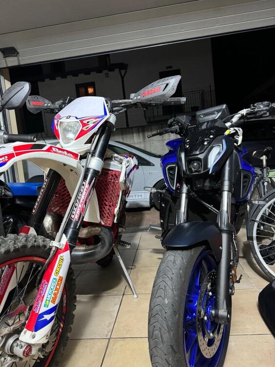 Betamotor RR 250 2T Enduro (2019) (5)