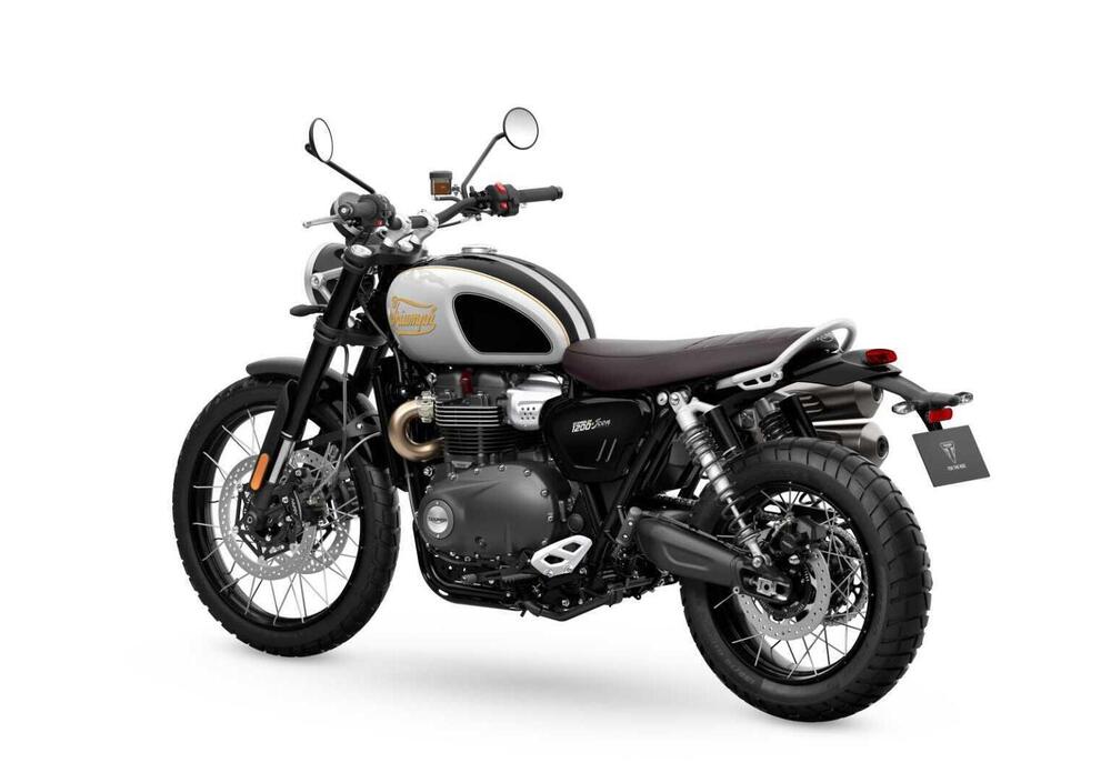 Triumph Scrambler 1200 X Icon Edition (2025) (4)