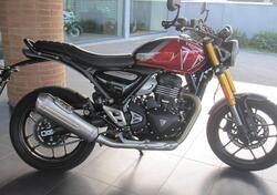 Triumph Speed 400 (2024 - 25) usata