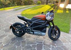 Harley-Davidson LiveWire (2019 - 22) usata