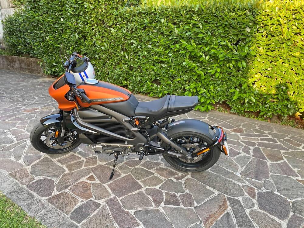 Harley-Davidson LiveWire (2019 - 22) (2)