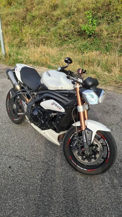 Triumph Speed Triple 1050 ABS (2011 - 15) (4)