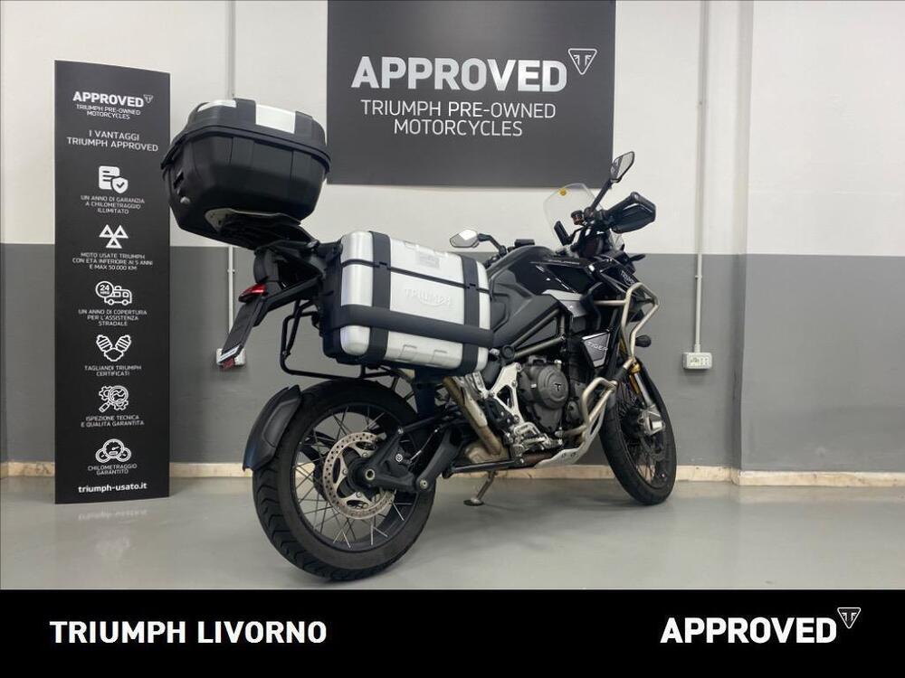 Triumph Tiger 1200 Rally Explorer (2022 - 23) (5)