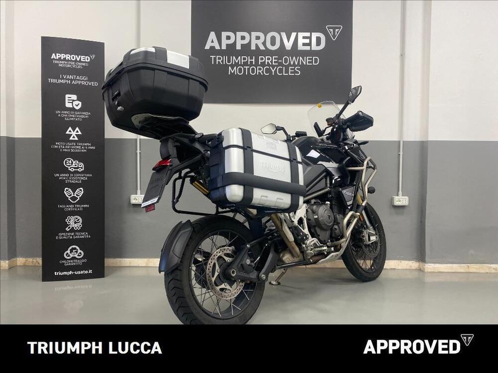 Triumph Tiger 1200 Rally Explorer (2022 - 23) (3)