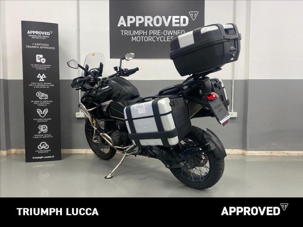 Triumph Tiger 1200 Rally Explorer (2022 - 23) (4)