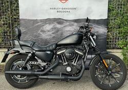 Harley-Davidson 883 Iron (2017 - 20) - XL 883N usata