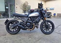 Ducati Scrambler 800 Icon (2023 - 24) usata