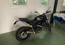 Ducati Monster 797 (2017 - 18) usata