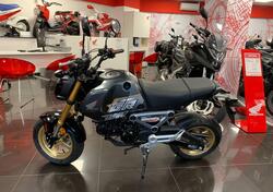 Honda MSX 125 Grom (2021 - 24) usata