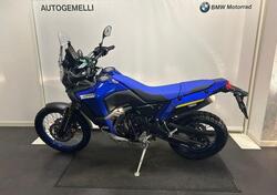 Yamaha Ténéré 700 World Raid (2022 - 24) usata