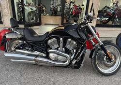 Harley-Davidson 1130 V-ROD (2002 - 05) - VRSCB usata