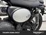 Triumph Scrambler 900 (2023 - 24) (6)