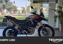 Triumph Tiger 900 Rally Pro (2024) nuova