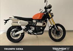 Triumph Scrambler 1200 XE (2024) nuova