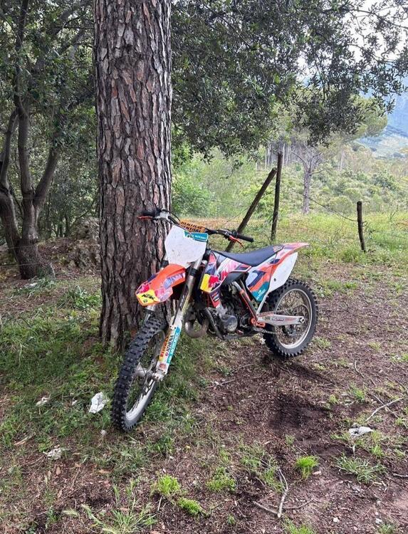 KTM SX 125 (2014) (2)