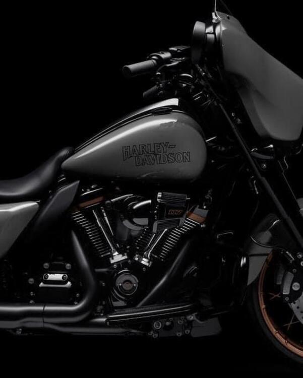 Harley-Davidson Street Glide ST (2022 - 23) (3)