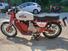 Moto Guzzi FALCONE 500FC CIVILE (12)