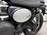 Triumph Scrambler 900 (2023 - 24) (7)