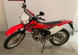 HM CRF 230 F Easy Trail (2004 - 06)  usata