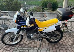 Honda NX 650 Dominator (1996 - 02) usata