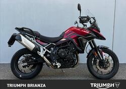 Triumph Tiger 900 GT (2024) usata