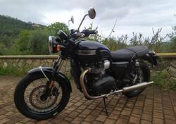 Triumph Bonneville T100 Stealth Edition (2024) usata