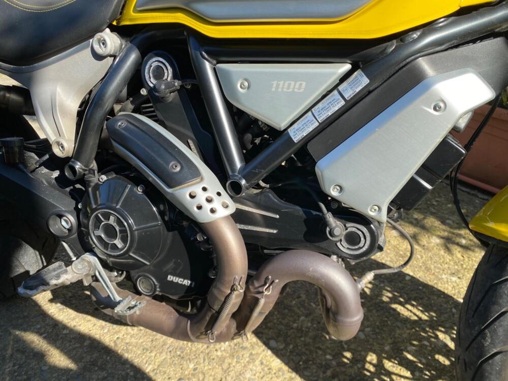 Ducati Scrambler 1100 (2018 - 20) (5)