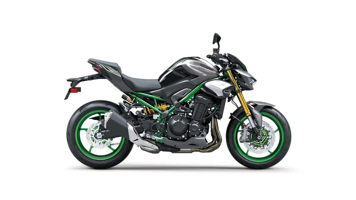 Kawasaki Z 900 Z 900 SE (2025 - 26) (2)