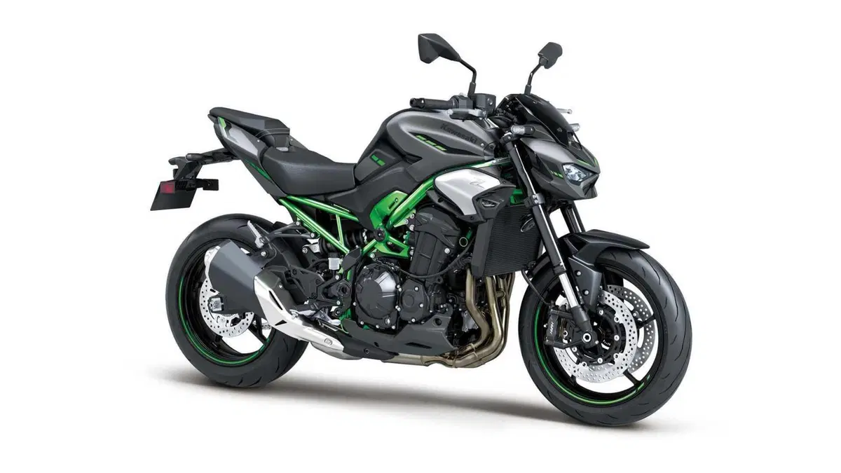 Kawasaki Z 900 (2025 - 26)