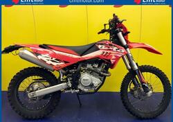 Betamotor RR 125 4T Enduro LC (2018 - 20) usata