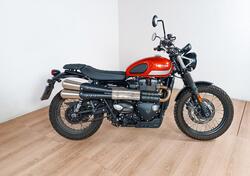 Triumph Street Scrambler 900 (2017 - 18) usata