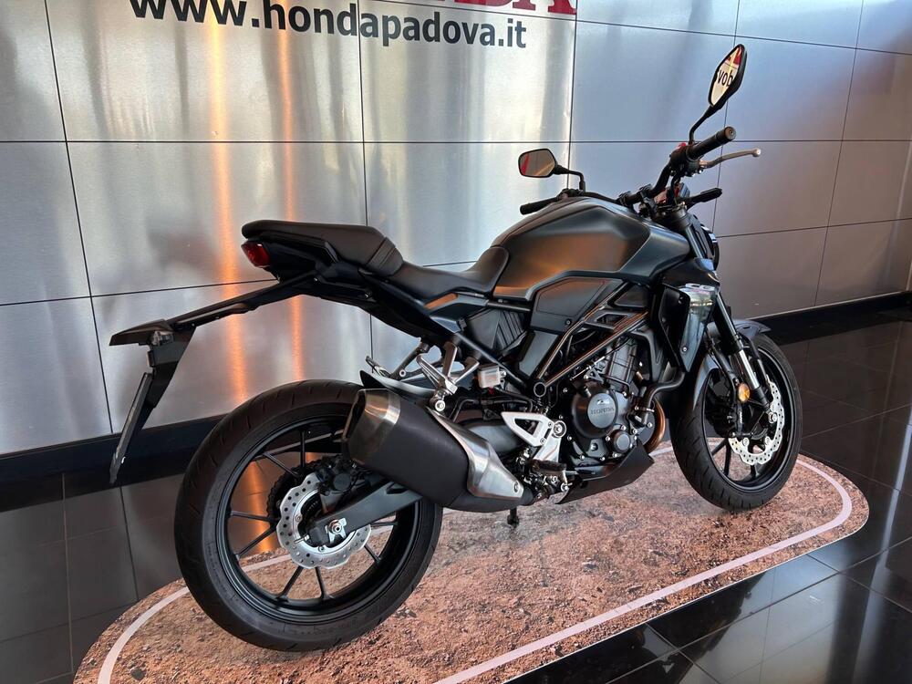 Honda CB 300 R (2022 - 24) (2)