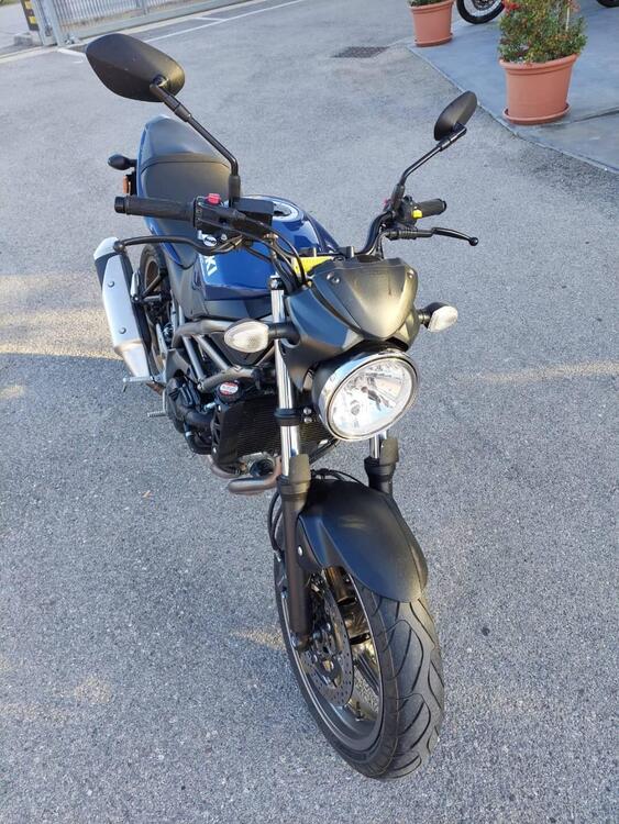 Suzuki SV650 (2021 - 24) (3)