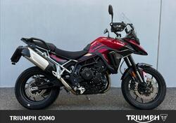 Triumph Tiger 900 GT (2024) usata