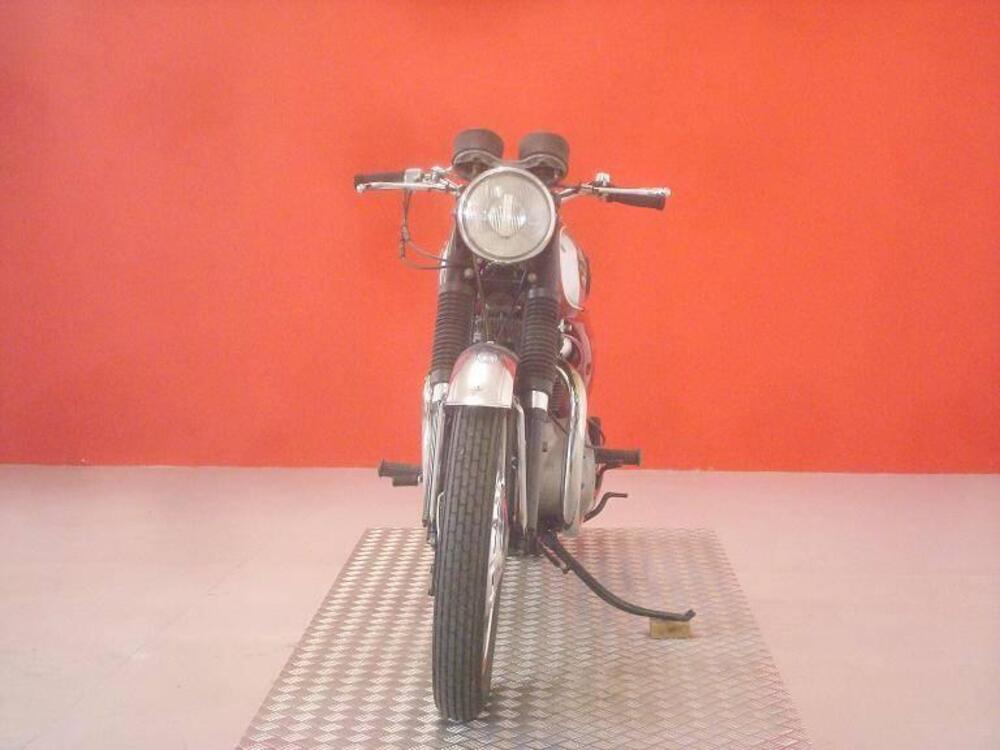 Bsa LIGHTNING 650 (3)